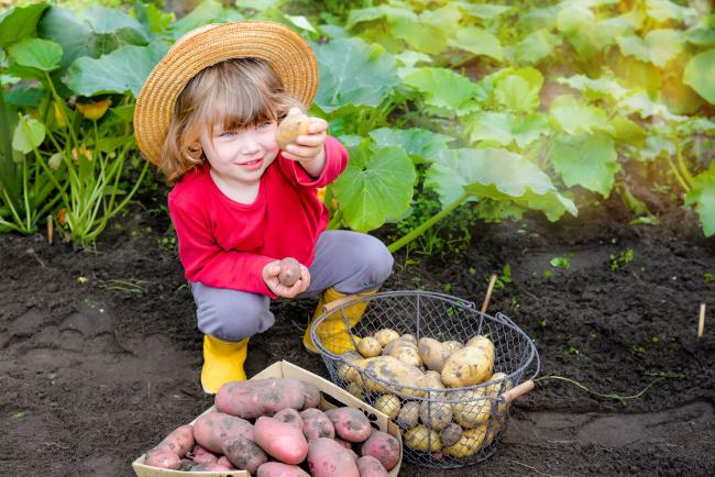 Mon Premier potager Premier_potager
